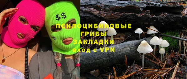 дурь Алзамай
