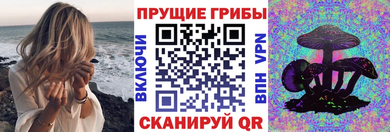 где купить наркоту  Сельцо  Галлюциногенные грибы Psilocybine cubensis 